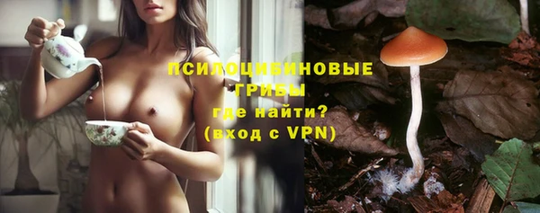 гашик Алзамай