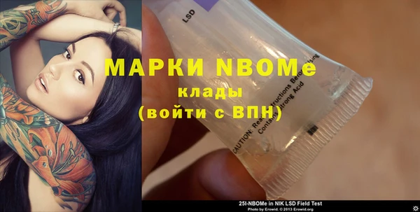 apvp Алексин