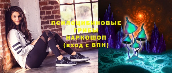сатива Новокубанск