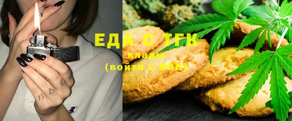 гашик Алзамай