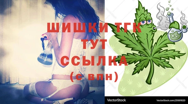 ECSTASY Новозыбков