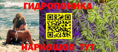 молекула духа Краснознаменск