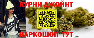 apvp Краснодар