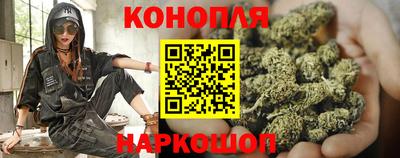 apvp Краснодар