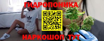 apvp Краснодар