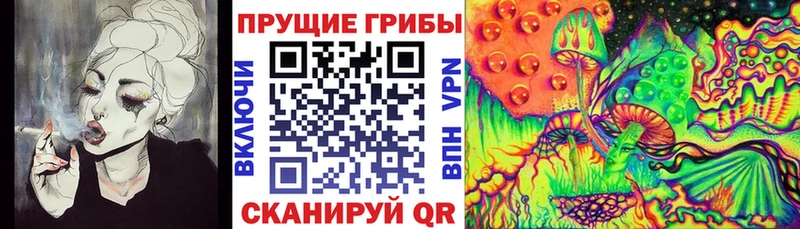 Псилоцибиновые грибы GOLDEN TEACHER  Полысаево 