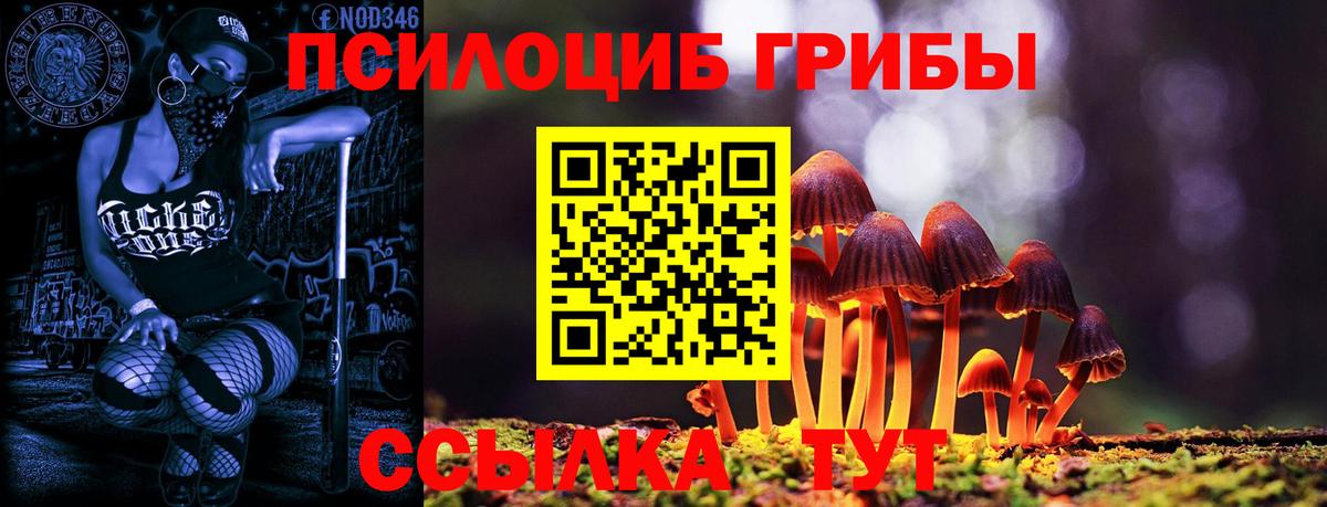 Псилоцибиновые грибы Magic Shrooms Полысаево
